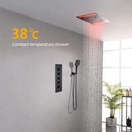 Robinetă Termostatică Duș...